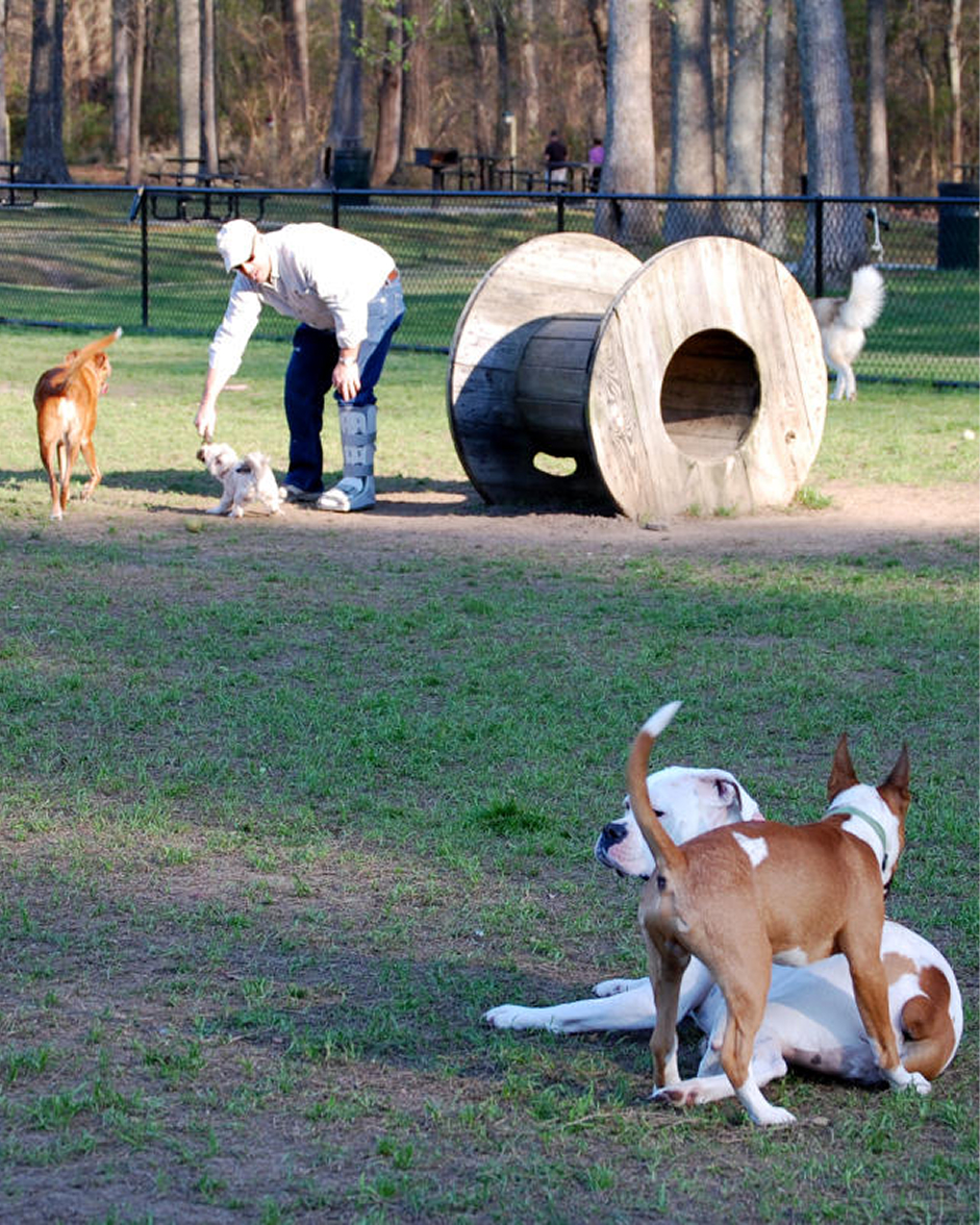 Red Wing Metro Dog Park