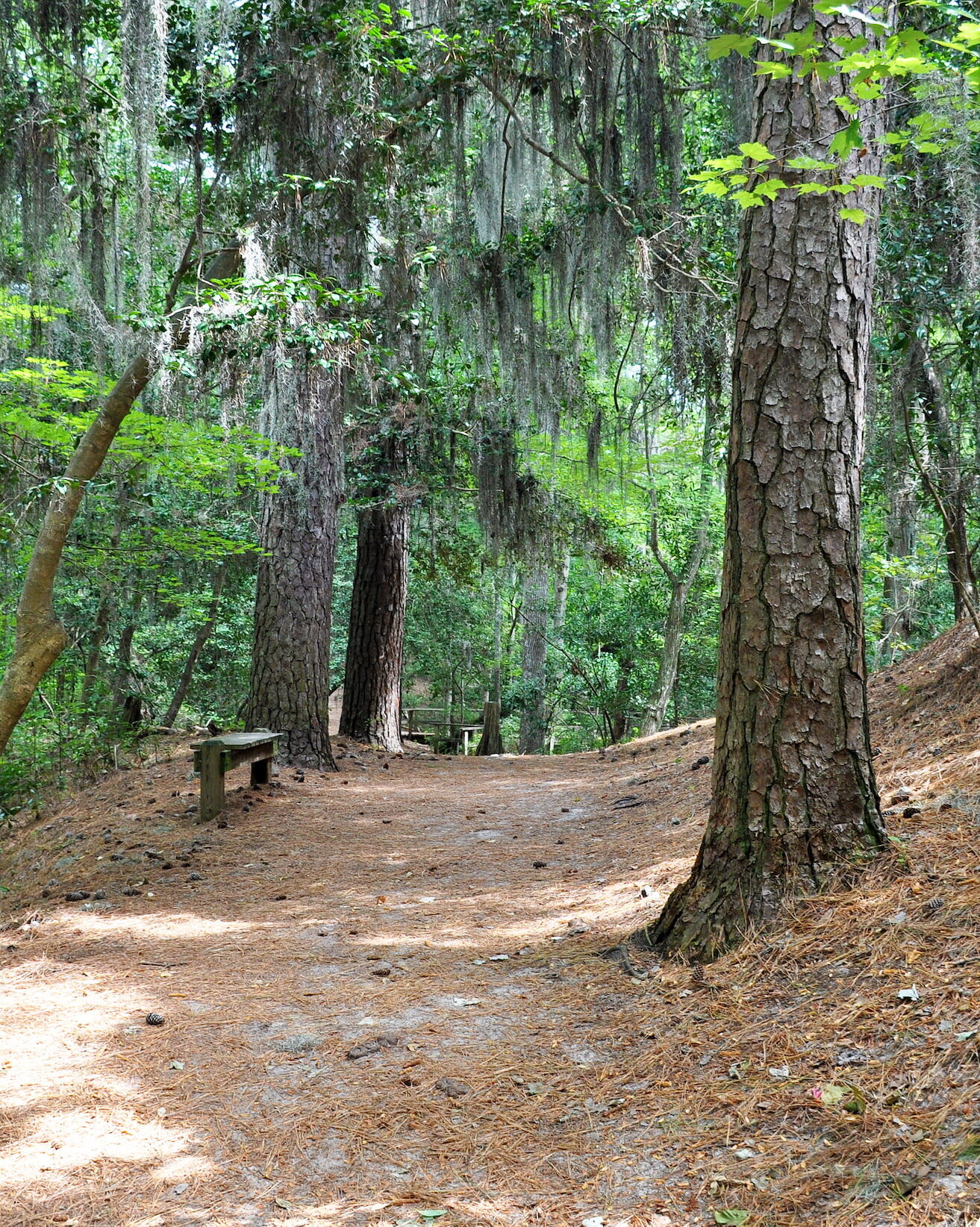 First Landing State Park